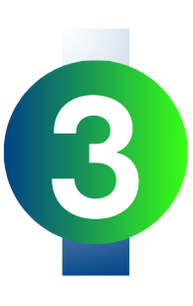 ICON 3 ICON 3
